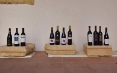 Alguns dels vins presents en aquesta edició